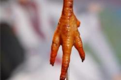 赤峰首家吊爐燒烤店電話號碼