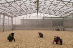 赤峰牛營子酒店電話多少號