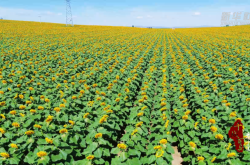 赤峰康緹風(fēng)尚店電話多少號