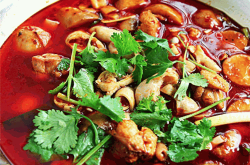 赤峰芋兒雞加盟電話號碼多少