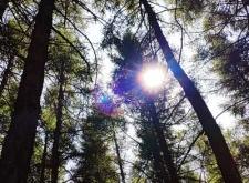 赤峰素人攝影工作室電話號碼