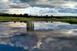 赤峰小蜜蜂搬家公司電話號(hào)碼