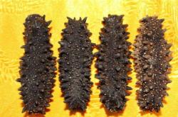 赤峰二手魚竿回收店電話號碼