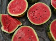 赤峰甜王西瓜種植基地電話號(hào)碼