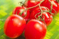 赤峰玉米合作社電話(huà)多少號(hào)