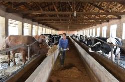 赤峰動(dòng)物實(shí)驗(yàn)臺(tái)電話多少號(hào)