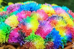 赤峰炫彩養(yǎng)生館電話號(hào)碼查詢