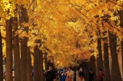 赤峰釣魚臺烤梨地址電話號碼