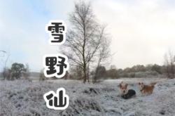 赤峰邊牧交流群電話號(hào)碼查詢