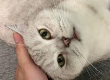 赤峰小呂寵物店電話號(hào)碼多少