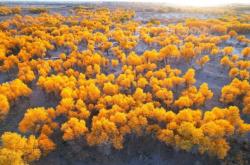 赤峰糧倉籃球場(chǎng)電話號(hào)碼查詢