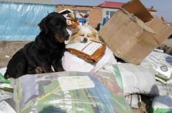 赤峰新救助站電話號碼是多少