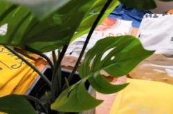 赤峰紫萱花坊電話號(hào)碼多少