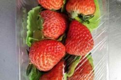 赤峰百果園山莊電話號碼查詢