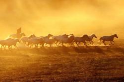 赤峰到奈曼拼車多少錢