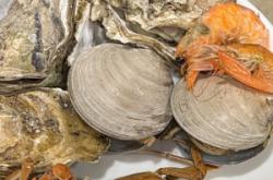 赤峰市園林浴池電話多少號