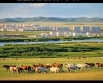 赤峰市盛匯國際物業(yè)電話號(hào)碼