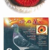 赤峰信鴿拍賣網(wǎng)電話是多少號(hào)