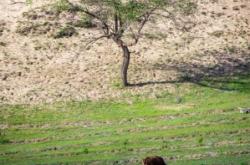 赤峰美川理發(fā)店地址電話號碼