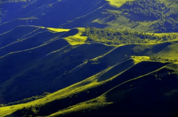 赤峰罕山鹿肉館電話多少號