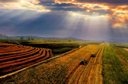 赤峰宏邦農(nóng)牧業(yè)招聘電話號(hào)碼