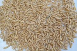 赤峰牙杯批發(fā)電話多少號