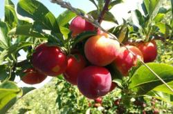 赤峰經(jīng)棚早餐店電話號碼查詢