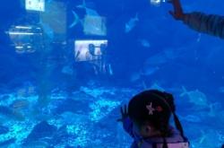 赤峰海辰海洋樂園團購電話號碼