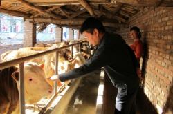 赤峰回乃林拼車電話查詢號(hào)碼