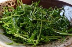 赤峰山野菜交易市場電話號碼