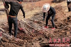 赤峰市甘溝鄉(xiāng)政府電話號(hào)碼