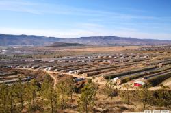 赤峰草原肉餅團(tuán)購(gòu)電話號(hào)碼查詢