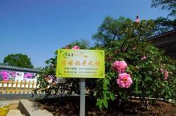 赤峰到溝門(mén)班車(chē)電話號(hào)碼是多少