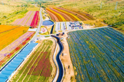 赤峰林西冬泳館電話號碼查詢