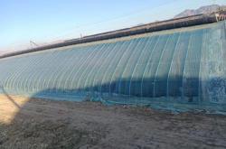 赤峰求購?fù)恋仉娫捥?hào)碼多少號(hào)