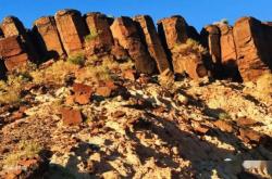 赤峰斑馬批發(fā)電話號(hào)碼多少號(hào)