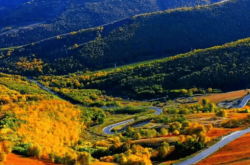 赤峰安洋剪發(fā)電話號(hào)碼查詢