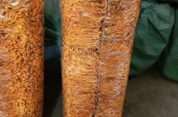 赤峰炒餅批發(fā)電話號(hào)碼多少