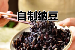 赤峰市納豆工廠電話地址查詢