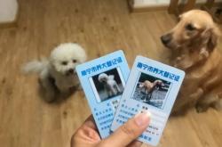 赤峰哪里能辦狗證啊電話號(hào)碼