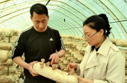 赤峰林西砂石廠電話多少號(hào)