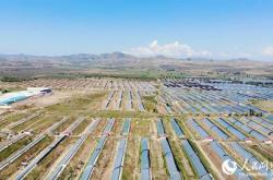 赤峰大棚建設(shè)施工隊(duì)電話號(hào)碼