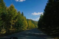 赤峰市錦山輪胎店電話號碼