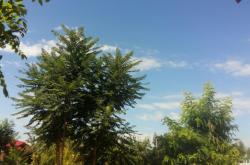 赤峰至開魯拼車電話號碼是多少