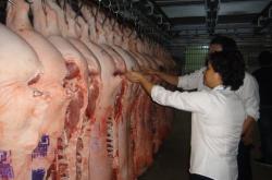 赤峰附近的豬肉屠宰場電話號碼