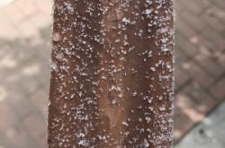 赤峰市磨巧雪糕廠電話號碼