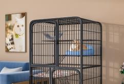 赤峰市寵物貓舍電話號(hào)碼