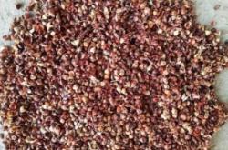 赤峰谷草顆粒加工廠電話號(hào)碼