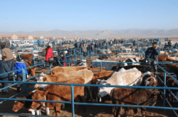 赤峰洪豐物流電話是多少號