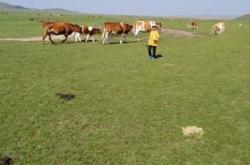 赤峰麗賓美發(fā)電話地址查詢號碼